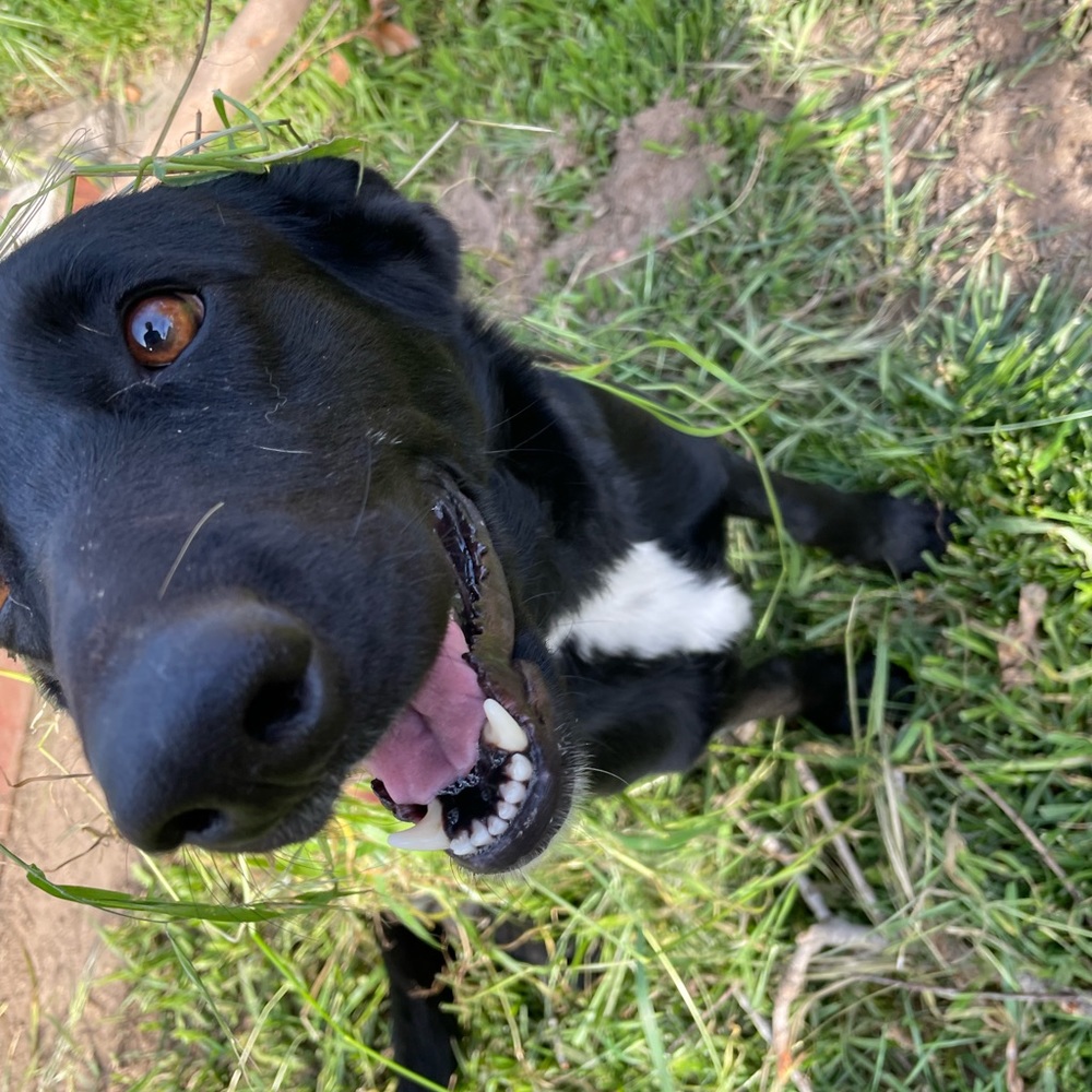 Meet your Posher, Julian